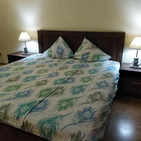 Raina Lux Apartment * Riga