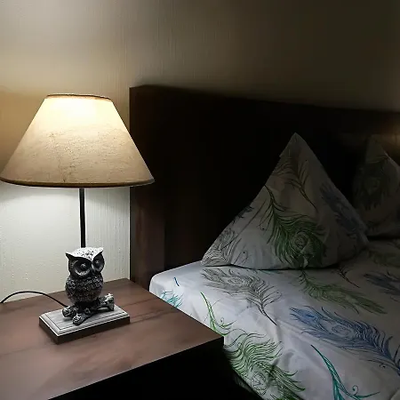 Raina Lux Apartment 아파트 리가